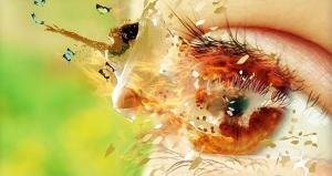 971752_4573510989520_1751310013_n